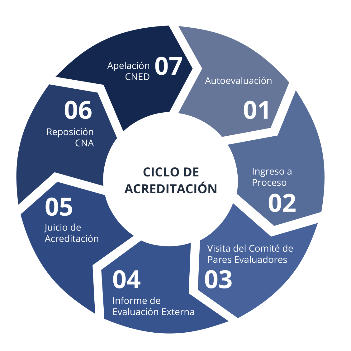 Ciclo Acreditación CNA